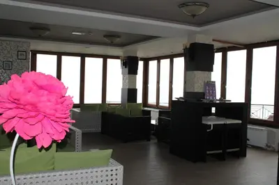 a large pink flower in a room with windows at Lux apartment Milmari Reko E4 Kopaonik in Kopaonik
