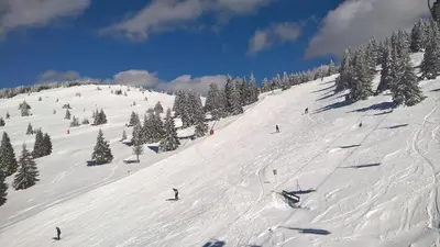 a group of people skiing down a snow covered slope at Apartman Biblioteka Čardaka 10/61 in Kopaonik