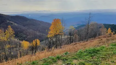 a view of a hillside with trees and a lake at Apartments Topview Kopaonik-Dvori in Kopaonik