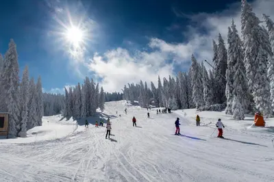 a group of people skiing down a snow covered slope at Apartments Topview Kopaonik-Dvori in Kopaonik