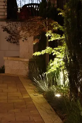 a plant with lights on the side of a building at Vrnjacka Idila in Vrnjačka Banja