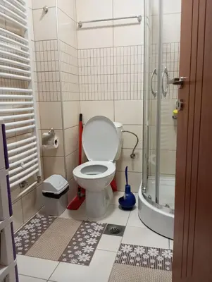a bathroom with a toilet and a shower at Apartman Radmanovac in Vrnjačka Banja