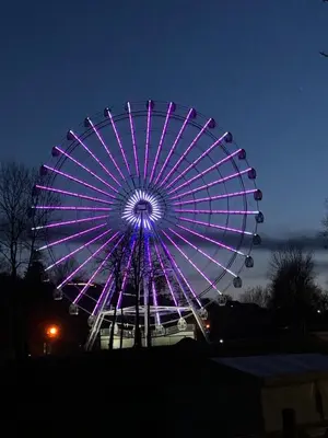a large ferris wheel lit up at night at Apartman Radmanovac in Vrnjačka Banja