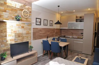 a kitchen and dining room with a table and a tv at MISS Premier 19 Milmari in Kopaonik