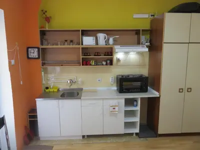 a small kitchen with a sink and a microwave at Guest House Pavlovic in Soko Banja