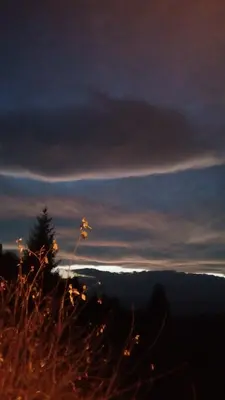 a view of the ocean with a tree on the horizon at Sky in Kopaonik