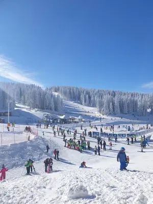 a large group of people on a ski slope at Neva Apartment Angella Konaci in Kopaonik