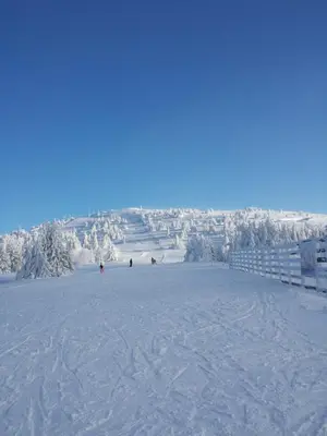 a group of people skiing down a snow covered slope at Sky apartments Kopaonik in Kopaonik