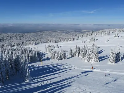 a ski slope with snow covered trees on a mountain at Sky apartments Kopaonik in Kopaonik