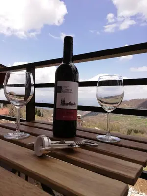 a bottle of wine sitting on a wooden table with two glasses at Ski&Spa Milmari L17 in Kopaonik