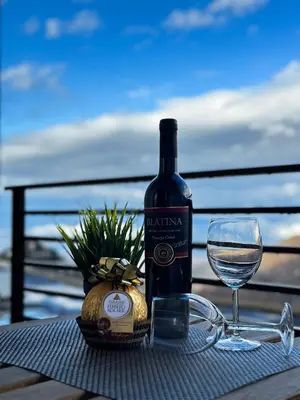 a bottle of wine sitting on a table with a glass at Queen of Kop Milmari in Kopaonik