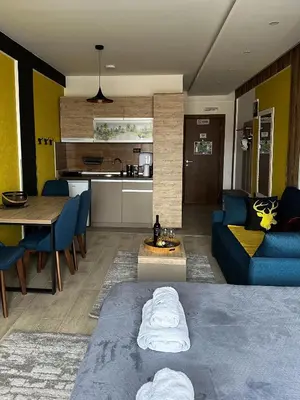 a living room with a blue couch and a kitchen at Queen of Kop Milmari in Kopaonik