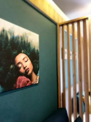 a picture of a woman is hanging on a wall at Queen of Kop Milmari in Kopaonik