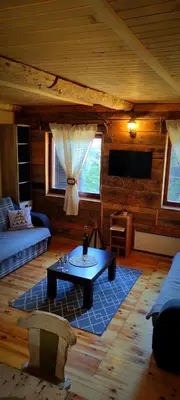 a living room with a couch and a table at Uki & Sofi mountain house in Kopaonik