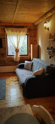 a living room with a couch and a window at Uki & Sofi mountain house in Kopaonik