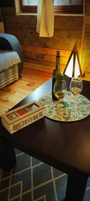 a table with a bottle of wine and two glasses at Uki & Sofi mountain house in Kopaonik
