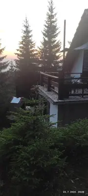 a deck with a bench and trees in a yard at Uki & Sofi mountain house in Kopaonik