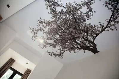 a tree hanging from the ceiling of a room at Hotel Sole in Niš