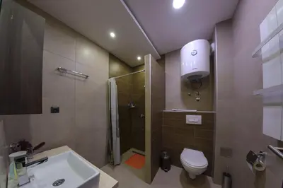 a bathroom with a shower and a toilet and a sink at Milmari Premier 15 in Kopaonik