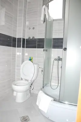 a bathroom with a toilet and a shower at M Garni Hotel in Vranje