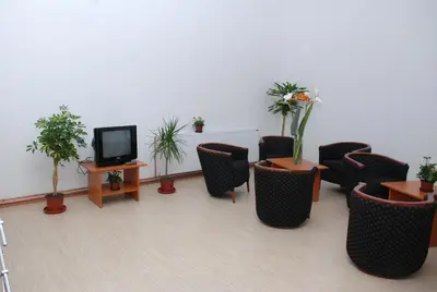 a room with chairs and a tv and plants at M Garni Hotel in Vranje