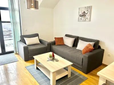 Gallery image of Apartment C10 Dvori in Kopaonik