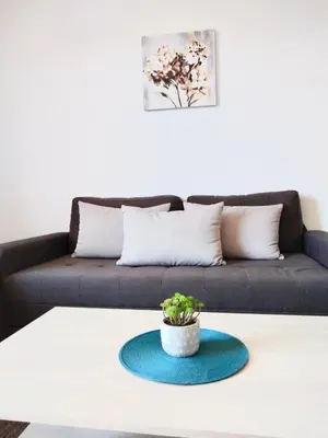 Gallery image of Apartment C10 Dvori in Kopaonik