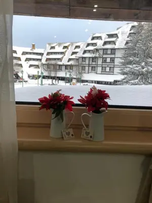 a window sill with two vases with red flowers on it at Apartmani Air in Kopaonik