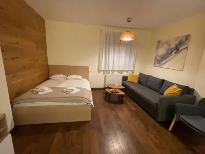 a room with a bed and a couch in it at Apartment East in Kopaonik