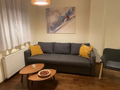 a living room with a couch and a table at Apartment East in Kopaonik