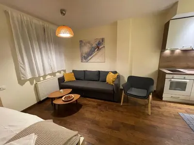 a living room with a couch and a table at Apartment East in Kopaonik