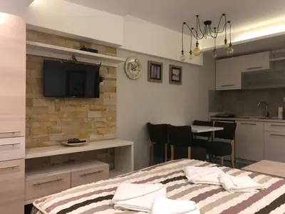 a room with a bed and a kitchen with a tv at Milmari Resort in Kopaonik