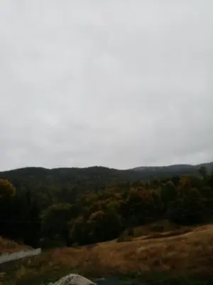 a view from the top of a hill with trees at Kallas lux apartman in Kopaonik