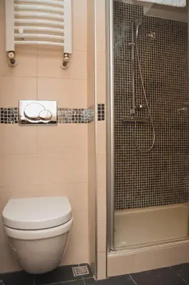a bathroom with a toilet and a shower at Apartman Mitra Angella Konaci in Kopaonik