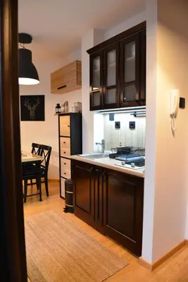 a kitchen with a sink and a table in a room at Višnja apartment in Kopaonik