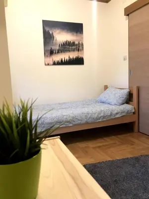 a bedroom with a bed and a potted plant at GOski Apartman Brzeće Kopaonik in Brzeće