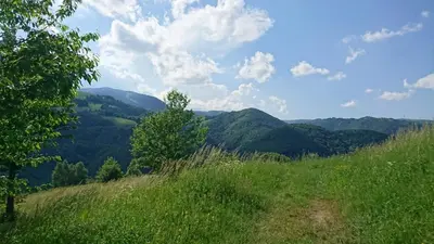 a grassy hill with trees and mountains in the background at GOski Apartman Brzeće Kopaonik in Brzeće
