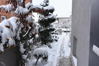 a snow covered tree next to a building at Blue House Apartment in Niš