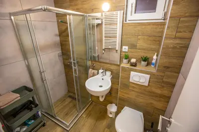 a bathroom with a shower and a toilet and a sink at View - Apartment at Kopaonik in Kopaonik