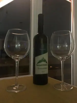 a bottle of wine and two wine glasses on a table at Iznad oblaka A9 in Kopaonik