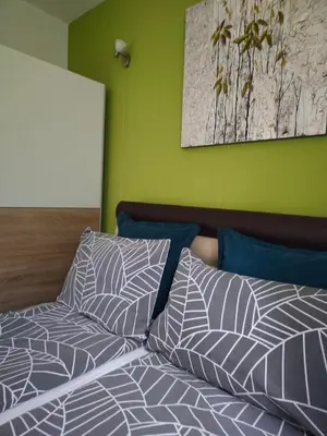 a bed with two pillows and a green wall at Apartman Harmonija Vrnjačka Banja in Vrnjačka Banja