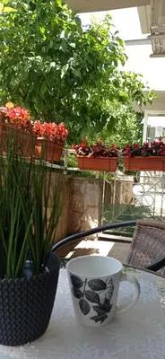 a cup of coffee sitting on a table with flowers at Apartman Harmonija Vrnjačka Banja in Vrnjačka Banja