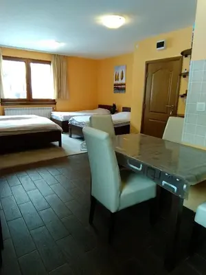 a room with a bed and a table and chairs at Apartman Vila Natasa in Kopaonik