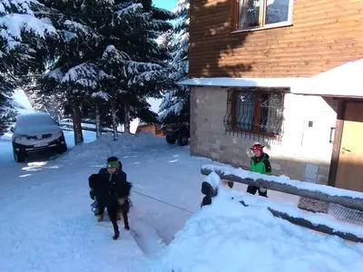 two people walking a dog in the snow at Apartman Vila Natasa in Kopaonik