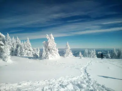 a person standing on top of a snow covered mountain at Apartmani Nebrigic in Brzeće