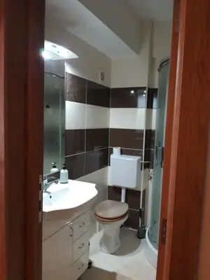 a bathroom with a toilet and a sink at Apartmani Nebrigic in Brzeće