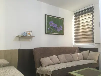 a living room with a couch and a window at Apartment Ramonda in Kopaonik