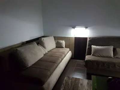 a living room with a brown couch and a lamp at Apartment Ramonda in Kopaonik