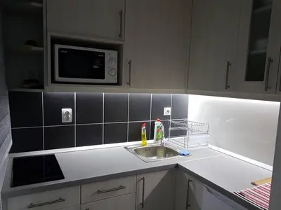 a kitchen with a sink and a microwave at Apartment Ramonda in Kopaonik
