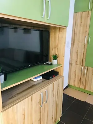 a flat screen tv sitting on top of a wooden entertainment center at Apartment Ramonda in Kopaonik